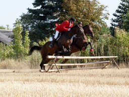 378370_10151090368668585_1019285857_n